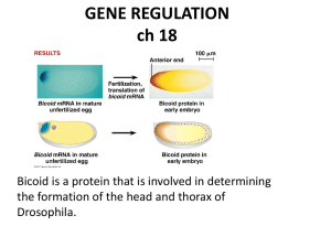 GENE REGULATION CH18