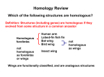Homology-review