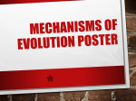 Mechanisms of evolution poster