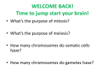 WELCOME BACK! Time to jump start your brain!