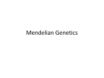 Mendelian Genetics - Kentucky Department of Education