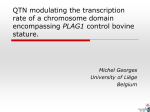 Introductory genetics for veterinary students