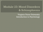Module 23: Mood Disorders & Schizophrenia