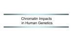 Chromatin Impacts on Human Genetics