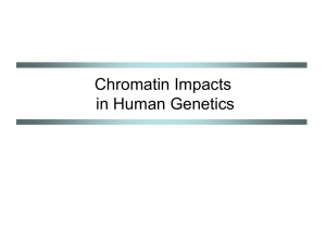 Chromatin Impacts on Human Genetics