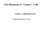 The Phenotype of 'Cancer' Cells