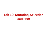 Lab 7: Mutation, Selection and Drift