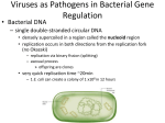 Viruses as Pathogens in Bacterial Gene Regulation