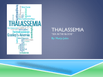 Thalassemia - Sacred Heart Academy