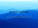 Klinefelter Syndrome - Boulder Valley School District