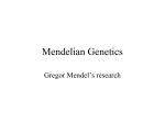 Mendelian Genetics - Mediapolis Community School