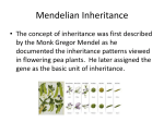 Mendelian Inheritance - Santa Susana High School