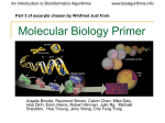 Molecular Biology Primer 3