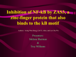 Inhibition of NF-kB by ZAS3, a zinc-finger protein that also binds to