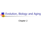 Evolution and Biology II