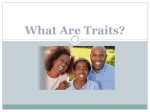 What Are Traits?