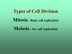 Chromosomes come in pairs