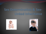 Sex Determination & Sex