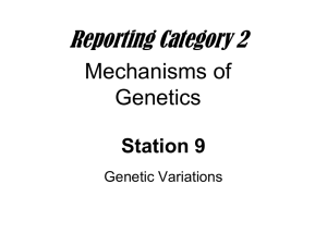 Station 9 - Genetic Variations