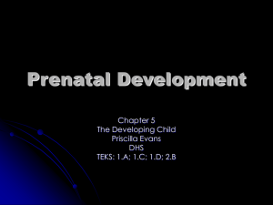 5.1 - 5.4 (Prenatal Development)