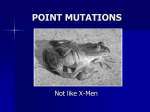 Point Mutation