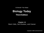 Biology Today Third Edition