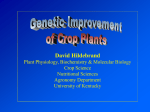 Genetic Improvement of Crop Plants