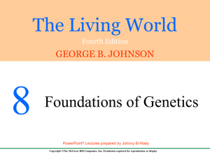 The Living World - Chapter 8 - McGraw Hill Higher Education