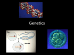 Genetics - Dave Brodbeck