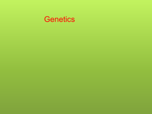 Human Growth and Development Genetics