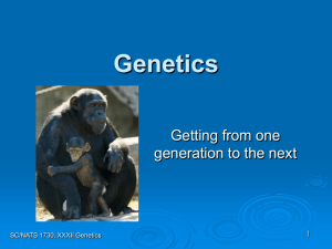 Genetics - York University