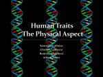 Human Traits The Rearrangement of DNA