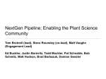 The maize leaf transcriptome