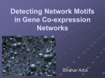 Network Motifs