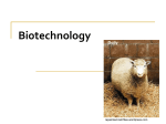 Chapter on Biotechnology