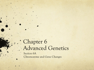 Chapter 6 Advanced Genetics