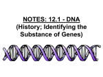 NOTES: 12.1 - History of DNA (powerpoint)