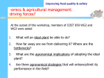 Food for Thought -outcomes of brainstorming activity