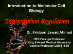 Transcription Regulation (Prof. Fridoon)