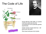 All life is based on the same genetic code