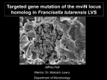 What is Francisella? - Oregon State University