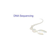 DNA Sequencing (cont.) - A computational tour of the human genome