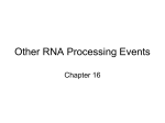 Other RNA Processing Events