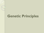 Genetic Principles