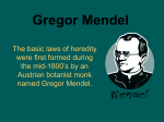 Gregor Mendel