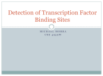 Detection of Transcription Factor Binding Sites