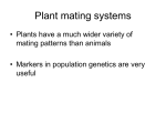 Plant mating systems