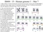 The UCSC Human Genome Browser