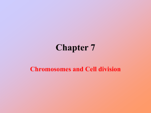 Cell division