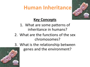 Human Inheritance